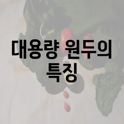 대용량 원두의 특징