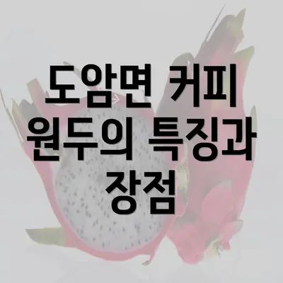 도암면 커피 원두의 특징과 장점