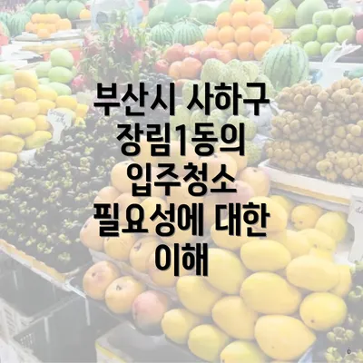 부산시 사하구 장림1동의 입주청소 필요성에 대한 이해