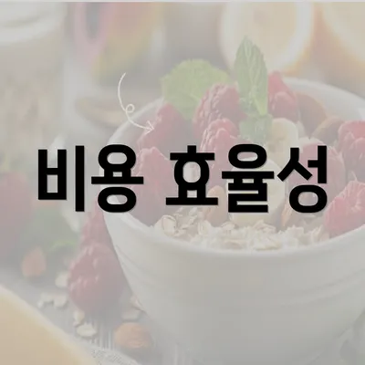 비용 효율성