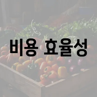 비용 효율성