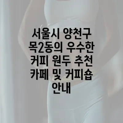 서울시 양천구 목2동의 우수한 커피 원두 추천 카페 및 커피숍 안내