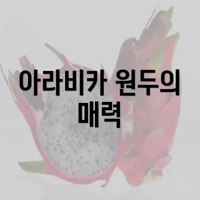 아라비카 원두의 매력