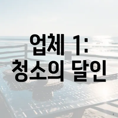 업체 1: 청소의 달인