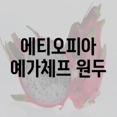 에티오피아 예가체프 원두