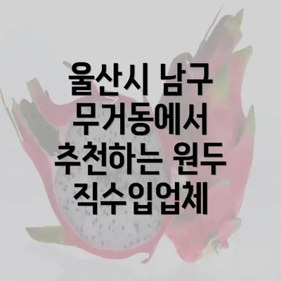 울산시 남구 무거동에서 추천하는 원두 직수입업체