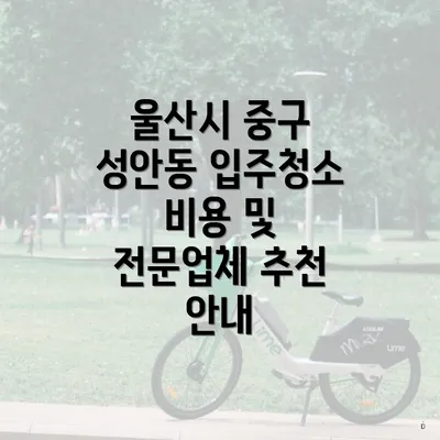 울산시 중구 성안동 입주청소 비용 및 전문업체 추천 안내