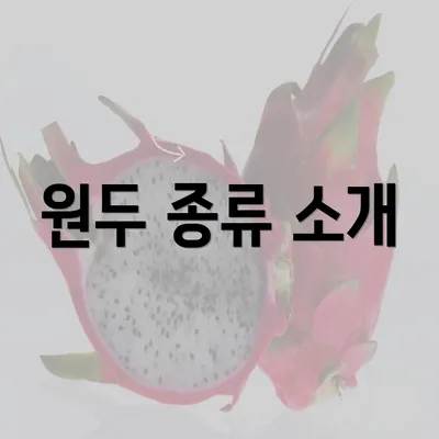 원두 종류 소개