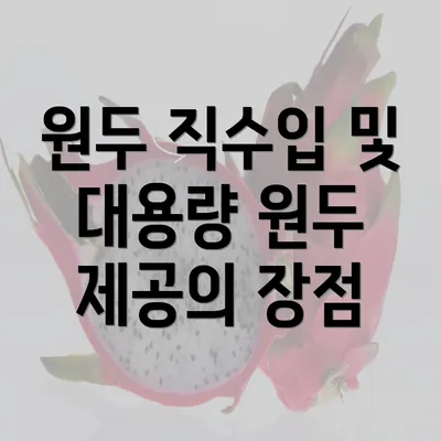 원두 직수입 및 대용량 원두 제공의 장점