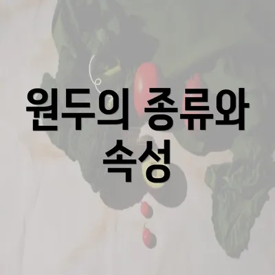 원두의 종류와 속성