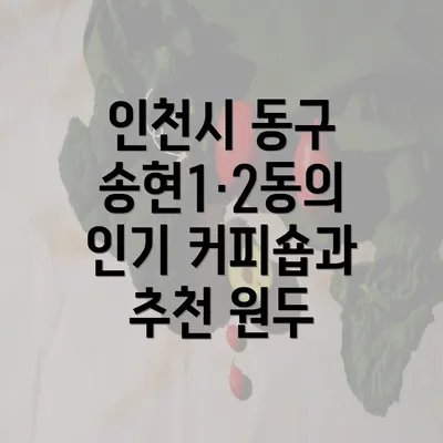 인천시 동구 송현1·2동의 인기 커피숍과 추천 원두