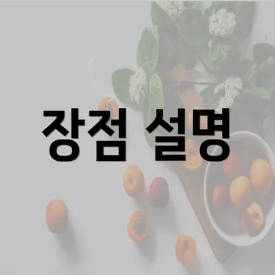 장점 설명