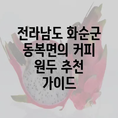 전라남도 화순군 동복면의 커피 원두 추천 가이드