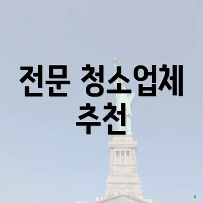 전문 청소업체 추천