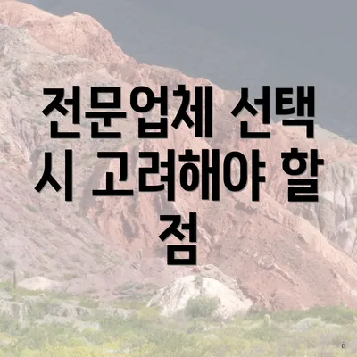 전문업체 선택 시 고려해야 할 점