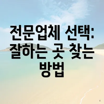 전문업체 선택: 잘하는 곳 찾는 방법