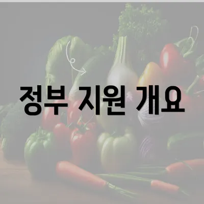 정부 지원 개요