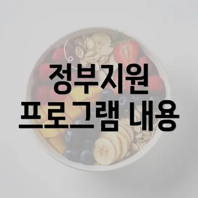 정부지원 프로그램 내용