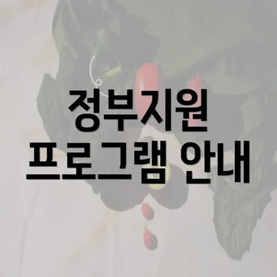 정부지원 프로그램 안내