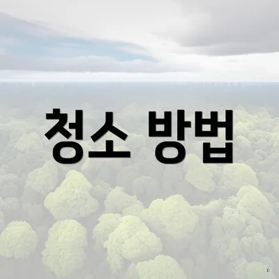 청소 방법