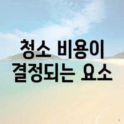 청소 비용이 결정되는 요소