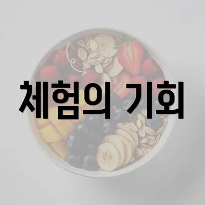 체험의 기회