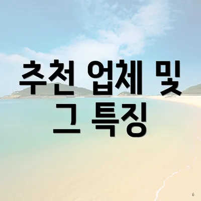 추천 업체 및 그 특징