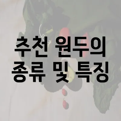 추천 원두의 종류 및 특징