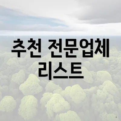 추천 전문업체 리스트