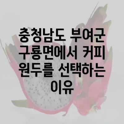 충청남도 부여군 구룡면에서 커피 원두를 선택하는 이유