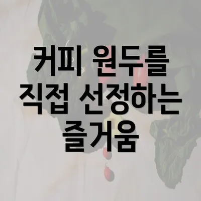 커피 원두를 직접 선정하는 즐거움