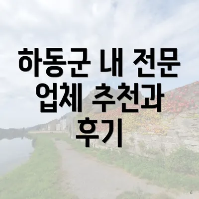 하동군 내 전문 업체 추천과 후기