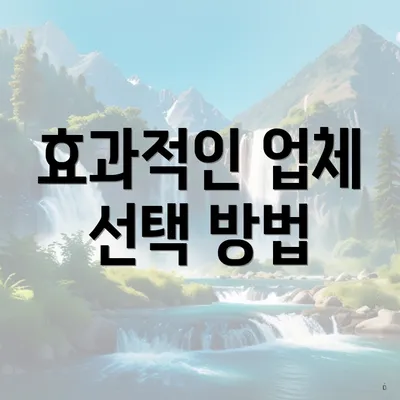 효과적인 업체 선택 방법