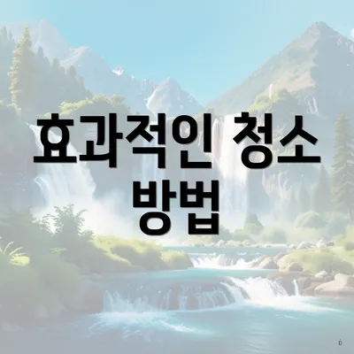 효과적인 청소 방법