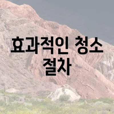 효과적인 청소 절차