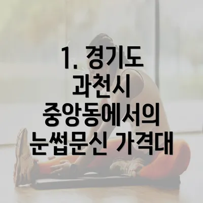 1. 경기도 과천시 중앙동에서의 눈썹문신 가격대