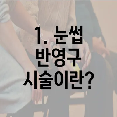 1. 눈썹 반영구 시술이란?