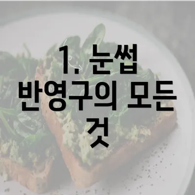 1. 눈썹 반영구의 모든 것