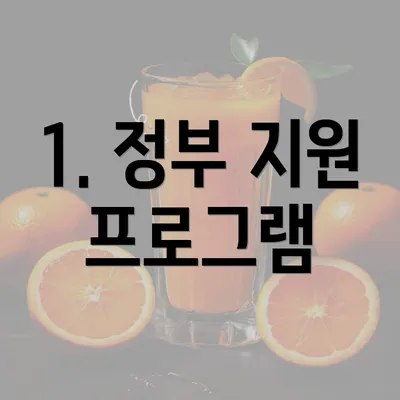 1. 정부 지원 프로그램