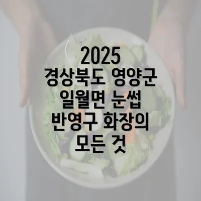 2025 경상북도 영양군 일월면 눈썹 반영구 화장의 모든 것