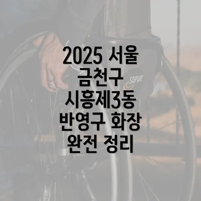 2025 서울 금천구 시흥제3동 반영구 화장 완전 정리