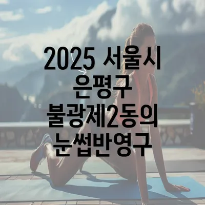 2025 서울시 은평구 불광제2동의 눈썹반영구