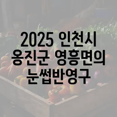 2025 인천시 옹진군 영흥면의 눈썹반영구