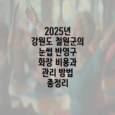 2025년 강원도 철원군의 눈썹 반영구 화장 비용과 관리 방법 총정리