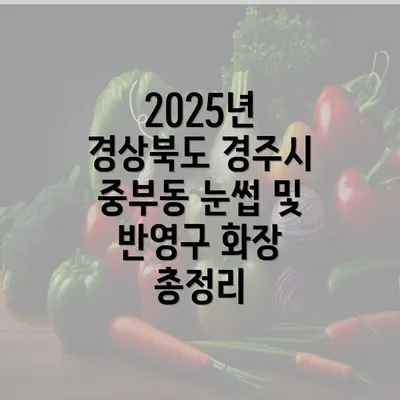 2025년 경상북도 경주시 중부동 눈썹 및 반영구 화장 총정리