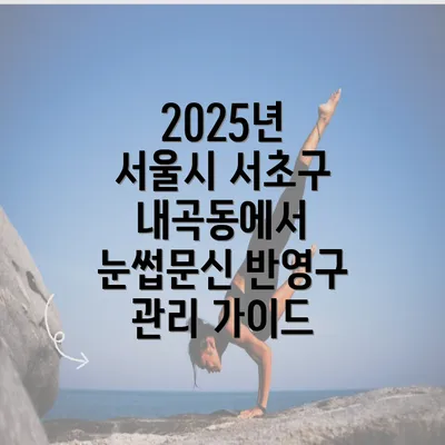 2025년 서울시 서초구 내곡동에서 눈썹문신 반영구 관리 가이드