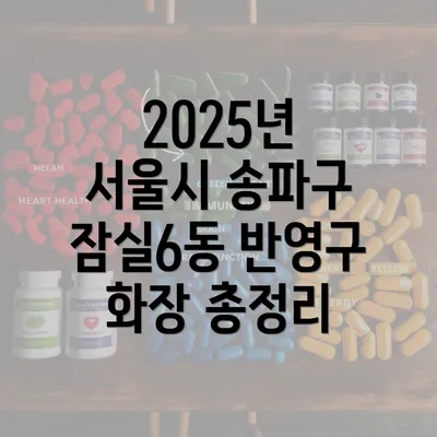 2025년 서울시 송파구 잠실6동 반영구 화장 총정리