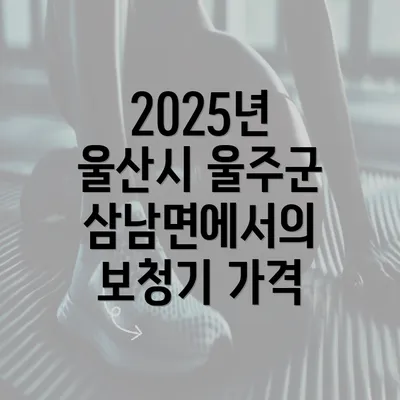 2025년 울산시 울주군 삼남면에서의 보청기 가격