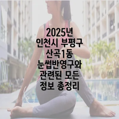 2025년 인천시 부평구 산곡1동 눈썹반영구와 관련된 모든 정보 총정리