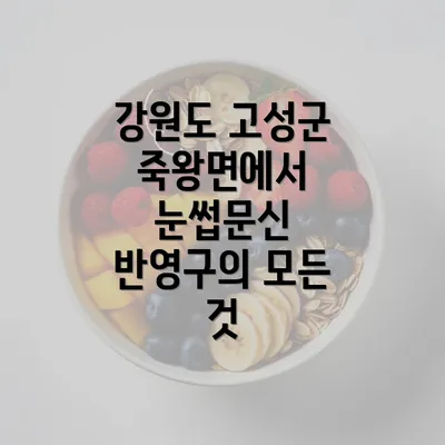 강원도 고성군 죽왕면에서 눈썹문신 반영구의 모든 것